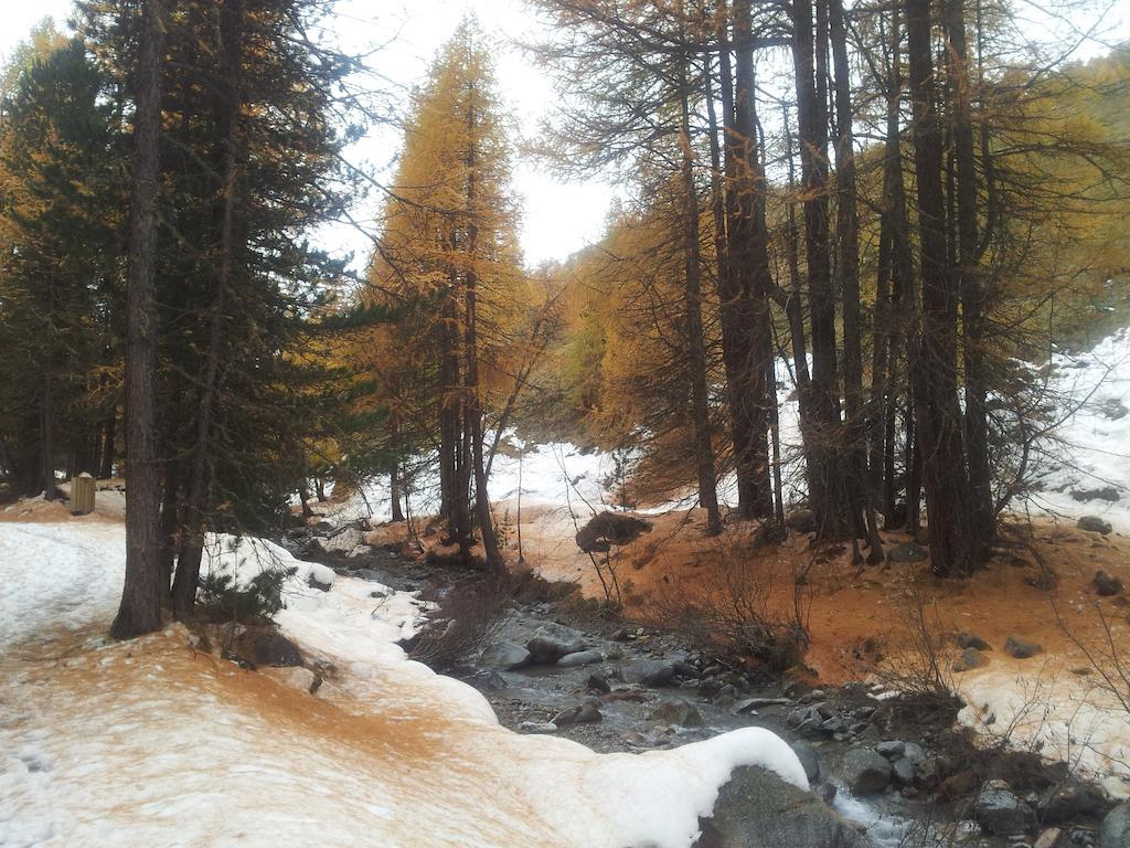 Chalet Rin Da Pemont Livigno Kültér fotó